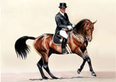 Dressage